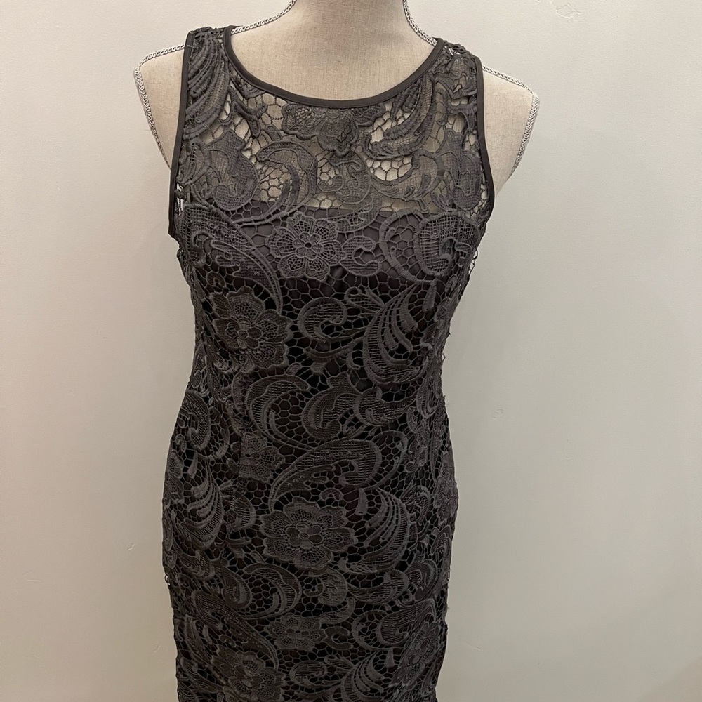 NEW Adrianna Papell gray lace dress with satin slip underlay,8,gorgeous!